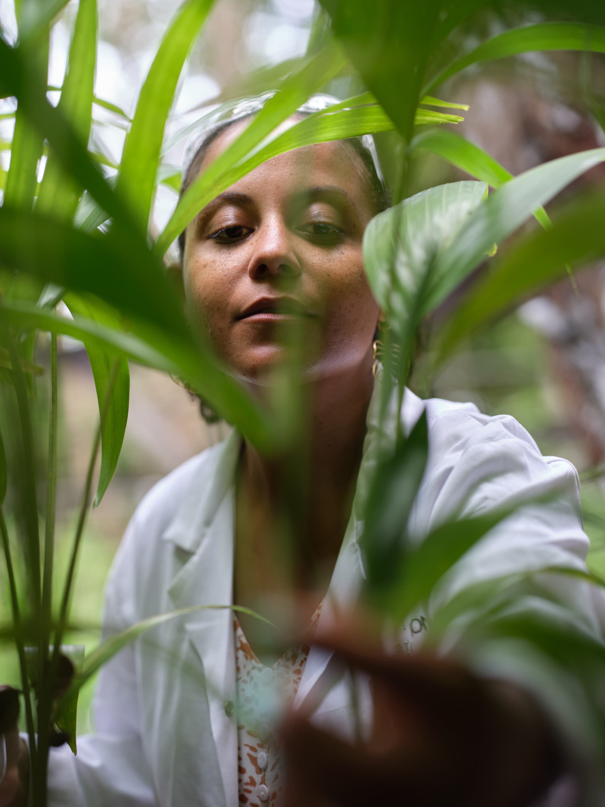 Image de Collabioration